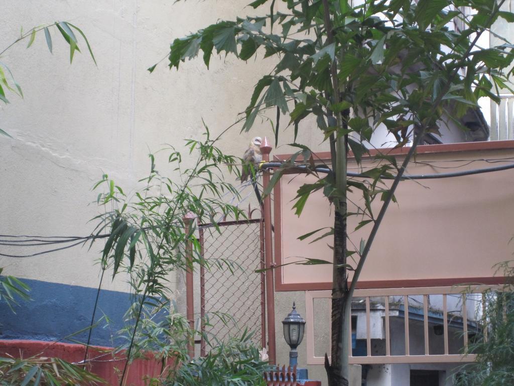 Tasi Dhargey Inn Kathmandu Exterior foto
