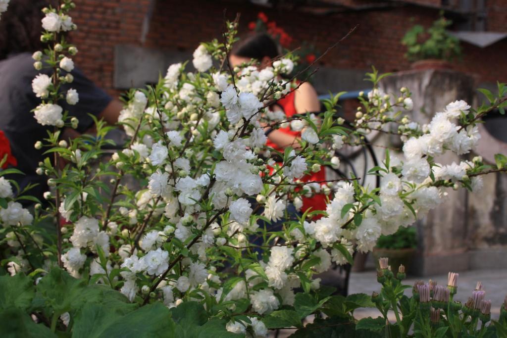Tasi Dhargey Inn Kathmandu Exterior foto