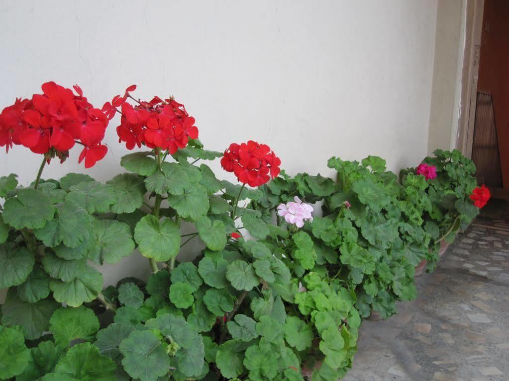 Tasi Dhargey Inn Kathmandu Exterior foto